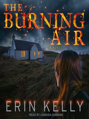 cover image of The Burning Air